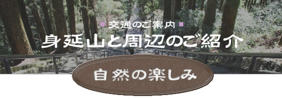 タイトル