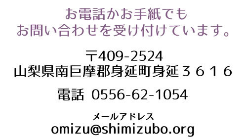 基本情報