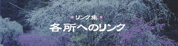 タイトル