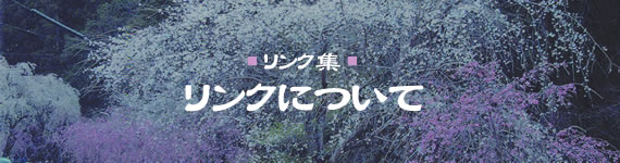 タイトル