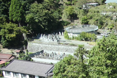 墓地